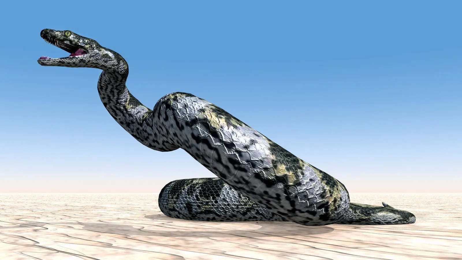 A computer reconstruction of Titanoboa, a giant snake with grey-green patterned scales, coiled with its mouth open