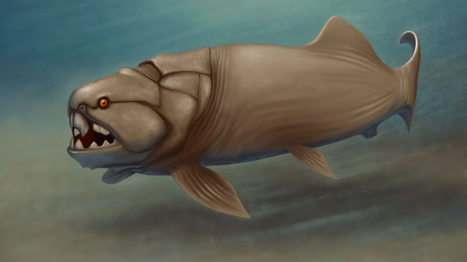 A painted reconstruction of Dunkleosteus, a huge armoured prehistoric fish with a bony head plate and blade-like jaws, swimming above the sea floor